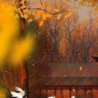 弘扬传承中华传统文化中的生态智慧